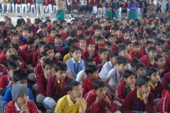 lbk-public-school-holi-2017-15