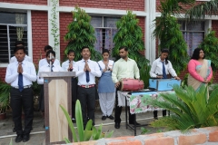lbk-public-school-311