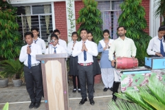 lbk-public-school-312