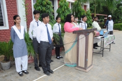 lbk-public-school-333
