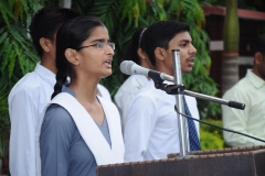 lbk-public-school-335
