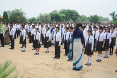 lbk-public-school-336