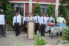 lbk-public-school-341