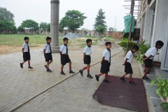 lbk-public-school-343