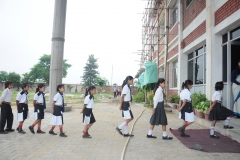 lbk-public-school-357