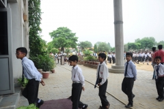 lbk-public-school-371