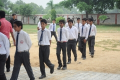 lbk-public-school-379