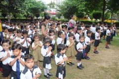 lbk-public-school-381