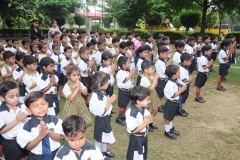 lbk-public-school-382
