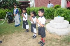 lbk-public-school-383