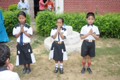 lbk-public-school-384