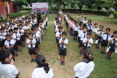lbk-public-school-386