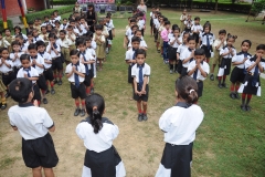 lbk-public-school-387