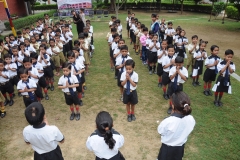 lbk-public-school-388