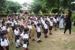 lbk-public-school-395