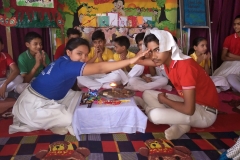 lbk-public-rakshabandhan-2017-18-21