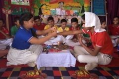 lbk-public-rakshabandhan-2017-18-22