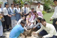 World_Environment_Day_5