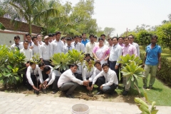 World_Environment_Day_6